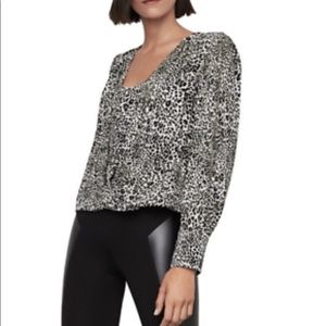 BCBG leopard blouse